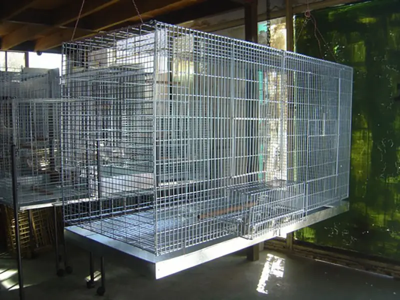 Bird Breeding Cages