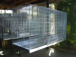 3 Best Bird Breeding Cages