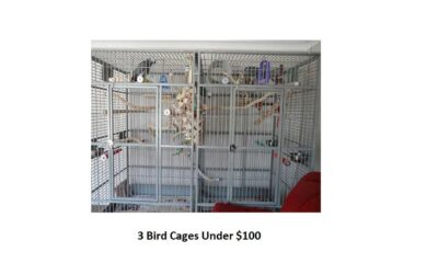 3 Best Cages Under $100