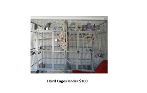 Top 3 Best Bird Cages Under $100 Guide – Review