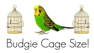 3 Idyllic Budgie Cages