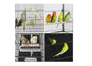 Top 3 Best Flight Cages 2022 Guide – Review