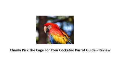 Cockatoo Cages