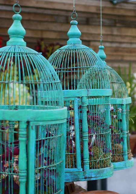 Antique Bird Cages