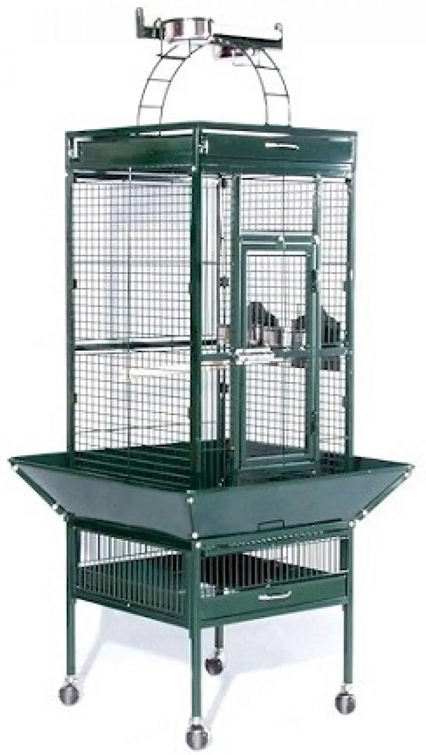 Best Bird Cages