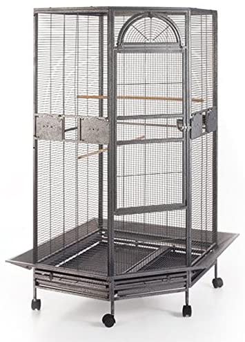 Pionus Cage Size