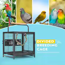 Wrought Iron Bird Travel Cage for Parrots, Conures & Cockatiels - Image 6
