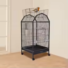 Wrought Iron 360° Bird Cage with Stand for Parrots, Finches, Budgies & Canaries - Image 5