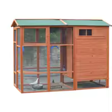Skybound Sanctuary Premium Bird Cage - Eco-Friendly Wood & Metal - Image 4