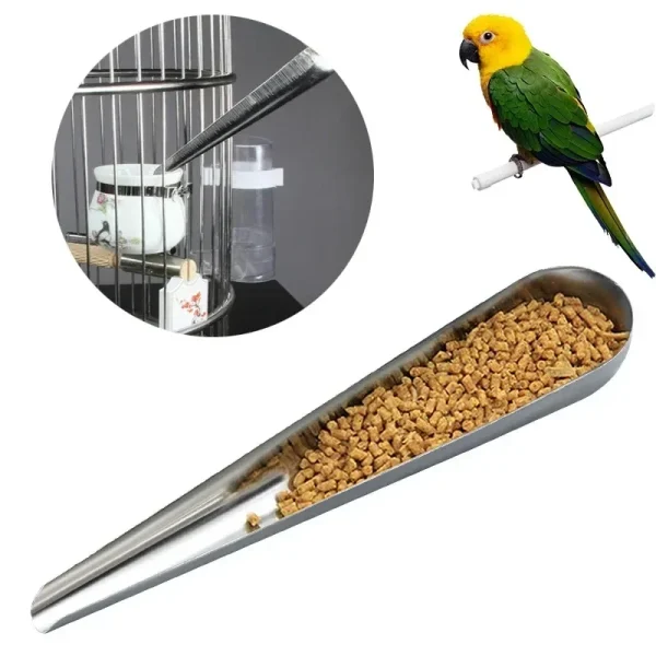 Stainless Steel Parrot Food Spoon - Cage Feeding Tool for Small Pets