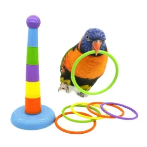 Pet Mini Ferrule Toy for Parrot – Colorful Activity & Training Ring