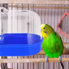 Plastic Parrot Bath Tub for Cages – Easy Clean for Parakeets & Cockatoos