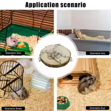 Wood Hammock Swing Bed – Hanging Toy for Hamsters, Parrots, Chinchillas & Small Birds - Image 6