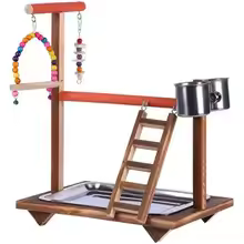 Universal Bird Stand & Carrier – Wood Perch, Swing & Chew Toy for Parrots and Canaries