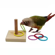 Parrot Training Ring Toy – Interactive Bird Toy